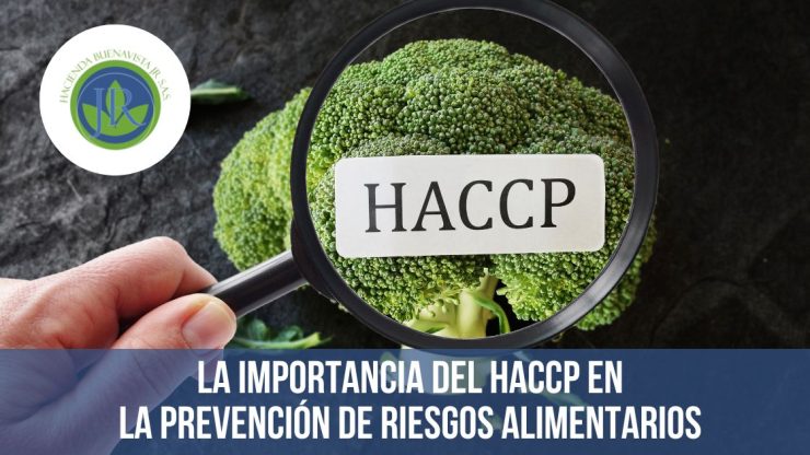 La Importancia del HACCP en la Prevención de Riesgos Alimentarios ...