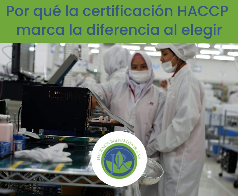 Certificación HACCP en la producción de especias para negocios gastronómicos