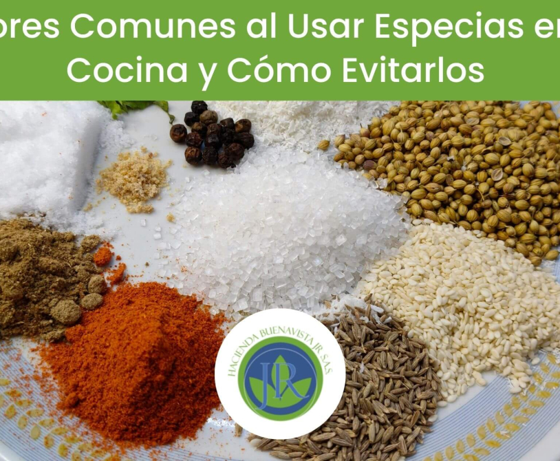 Errores al usar especias en la cocina y cómo evitarlos