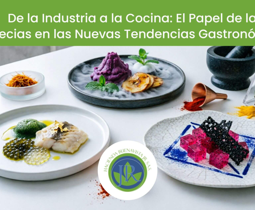 Especias utilizadas en tendencias gastronómicas modernas durante Alimentec