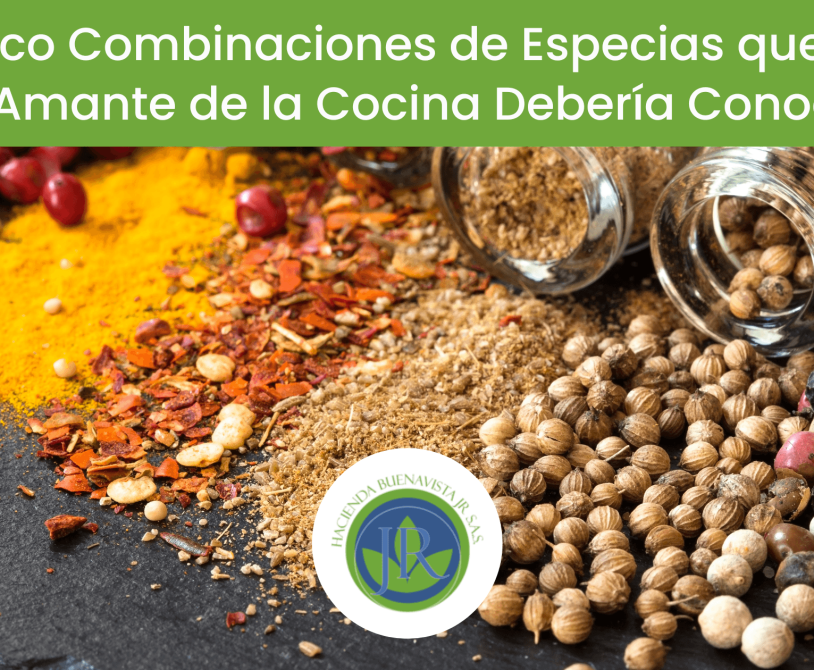 Combinaciones de especias organizadas sobre una mesa para diferentes recetas de cocina.